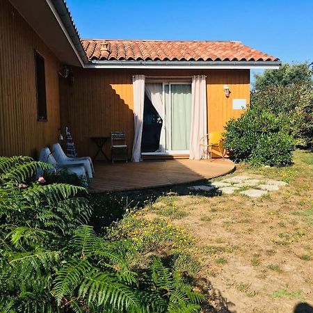 Beroy - Studio Entre Foret Et Ocean Lägenhet Linxe Exteriör bild
